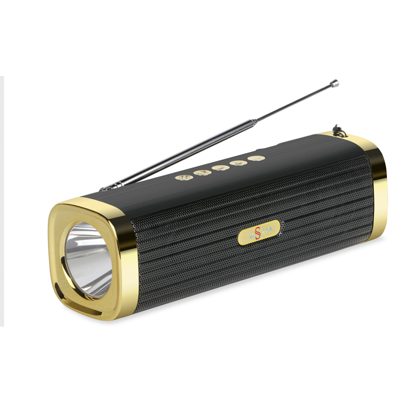 Flashlight radio